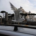 ���� ����, ���������, 50 ��� - ��������� 22 �������� 2020 � ������ ���� ����������