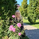 ���� �������, ��������� - ��������� 11 �������� 2020 � ������ ���� ����������