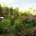 ���� �����, ������, 62 ���� - ��������� 25 ������ 2021 � ������ ���������� ������