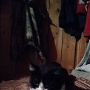 ���� �������, ���������, 58 ��� - ��������� 27 ������� 2020 � ������ ���� ����������
