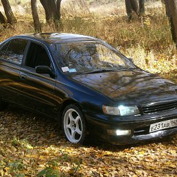  ostyan, , 41  -  31  2020