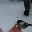 ���� �������, ������������ - ��������� 21 ������ 2021 � ������ ���� ����������