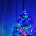 ���� ������, ������, 36 ��� - ��������� 27 ������� 2020 � ������ ������ ��������