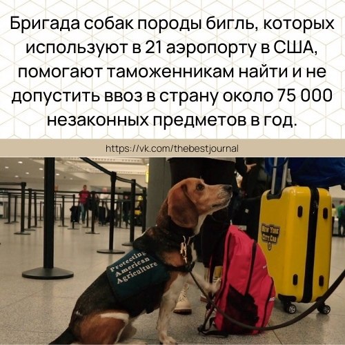 BEST | �����, ���������, ������ - 8 ����� 2021 � 22:12