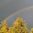 ���� �������, ����������, 54 ���� - ��������� 28 �������� 2020 � ������ ��������