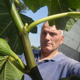 ���� Petar, �������, 72 ���� - ��������� 18 ������� 2021