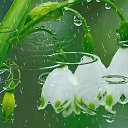 ���� ������, ������, 61 ��� - ��������� 18 ������� 2020 � ������ ������