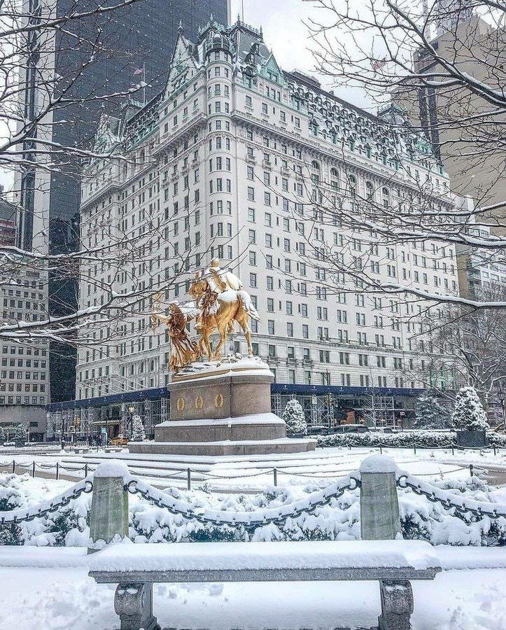 The Plaza Hotel    - 