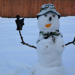 ������, ����������, 56 ���