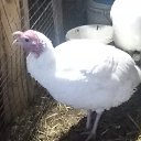 ���� �����, ������� - ��������� 23 ����� 2021 � ������ ���� ����������