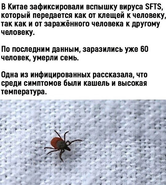 BEST | , ,  - 23  2020  18:56