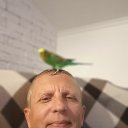 ���� Boris, �����������, 53 ���� - ��������� 28 ������� 2020 � ������ ���� ����������