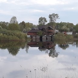 ���� �������, �������, 55 ��� - ��������� 13 ������ 2020