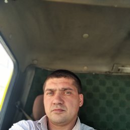 ���������, �����������, 41 ���