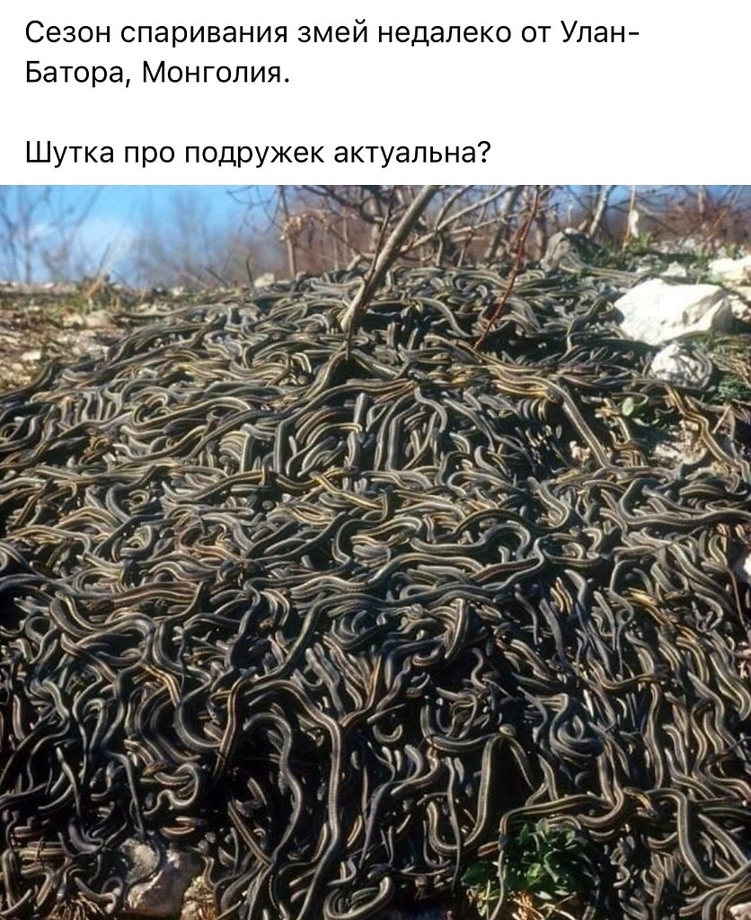 BEST | , ,  - 1  2020  18:58