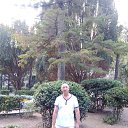 ���� ����, ������ ��������, 56 ��� - ��������� 27 ������� 2020 � ������ ���� ����������