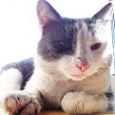 ���� �����, �������, 64 ���� - ��������� 17 �������� 2020 � ������ ������ ��������