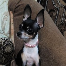 ���� �������, ���������, 58 ��� - ��������� 28 ������ 2020