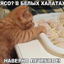 ���� ������, ������ - ��������� 4 ������� 2020 � ������ �� � ��