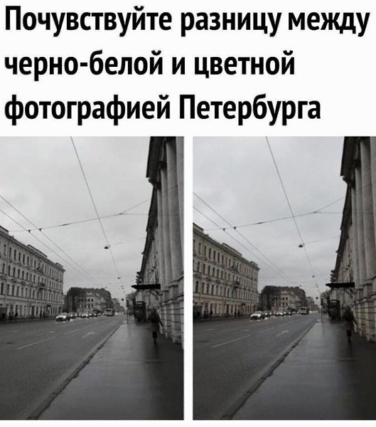 LIFE -  - 23  2020  18:56