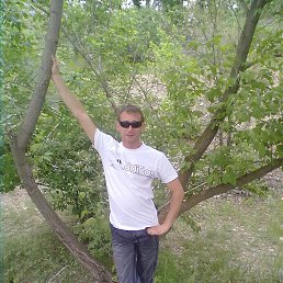 ����, ������, 40 ���