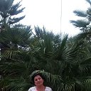 ���� �����, ��������� - ��������� 13 �������� 2020 � ������ ���� ����������