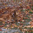 � ������ ����� �����... �� ������� ������ � ������ ������...�