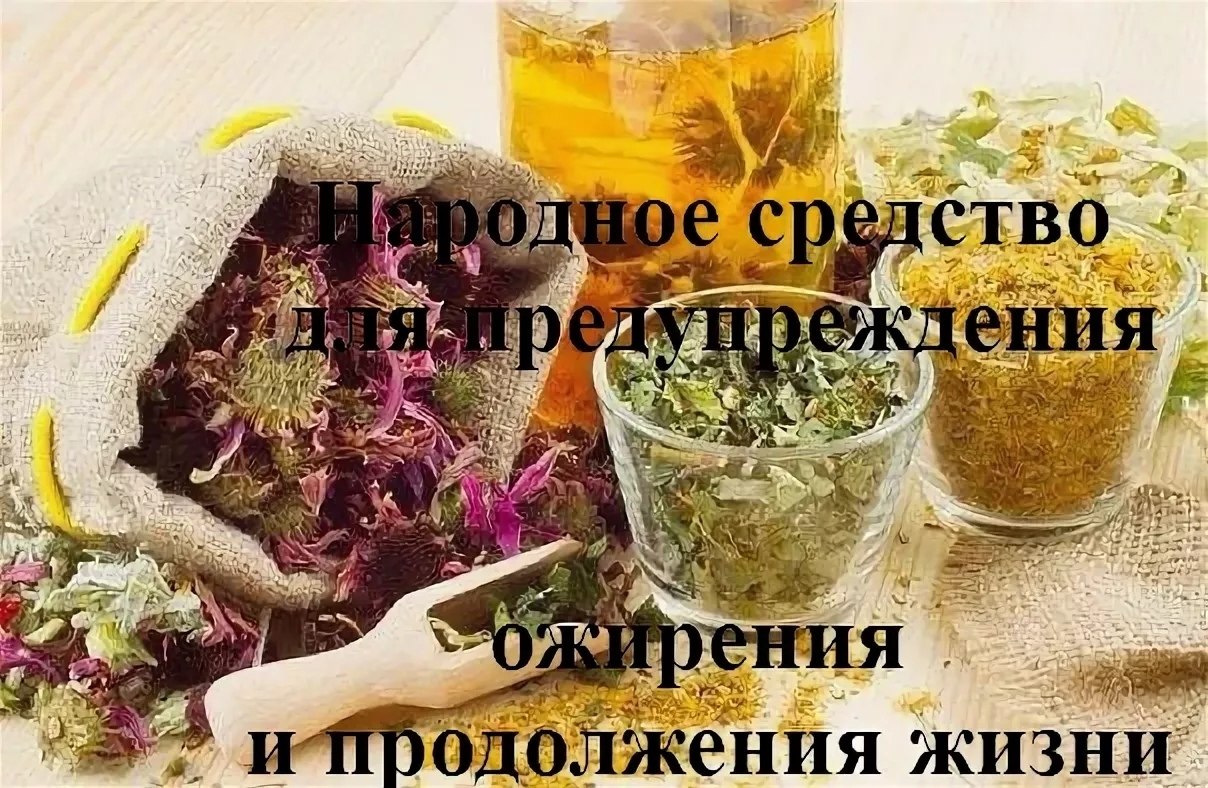НАРОДНОЕ СРЕДСТВО ДЛЯ ПРЕДУПРЕЖДЕНИЯ ОЖИРЕНИЯ И ПРОДОЛЖЕНИЯ ЖИЗНИ. Взять по 1 пачке (100гр) ромашки, ...