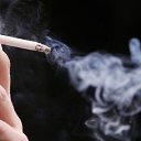 ���� �������, �������, 55 ��� - ��������� 18 ������ 2020 � ������ ���� ����������