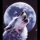 ���� ������, ��������, 58 ��� - ��������� 24 �������� 2020 � ������ ���� ����������