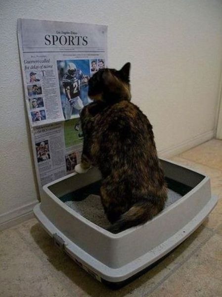 -      -  . - ? - ,    ,   ... - 3