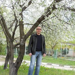 Vit, �������, 59 ���