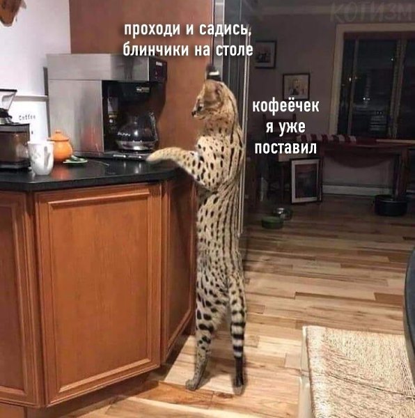 Иногда хочется прийти утром на кухню, а там: #юмор@bon