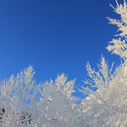 �������, ������, 55 ���