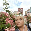 ���� �������, ������, 69 ��� - ��������� 11 ������ 2020 � ������ ���� ����������