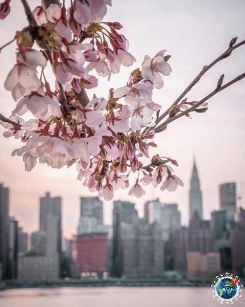 NYC. - 3