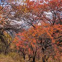 ���� ��������, ������, 55 ��� - ��������� 4 ������� 2020 � ������ ���������� ������