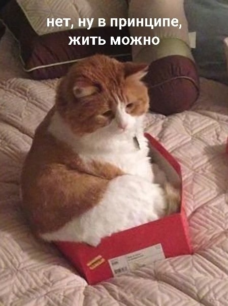    - - 2