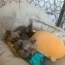 ���� � ������, ����������� ��� �� ������)) �� ������� ������ ��������