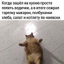 ���� �����, ���������, 41 ��� - ��������� 23 �������� 2020 � ������ ������ ��������