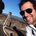 ���� Free, ���������, 49 ��� - ��������� 30 ������� 2020 � ������ ���� ����������