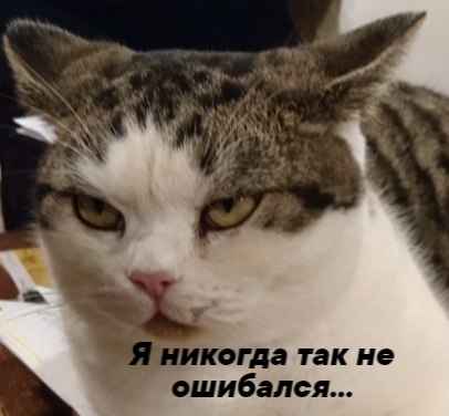       - 21  2021  17:11 - 4