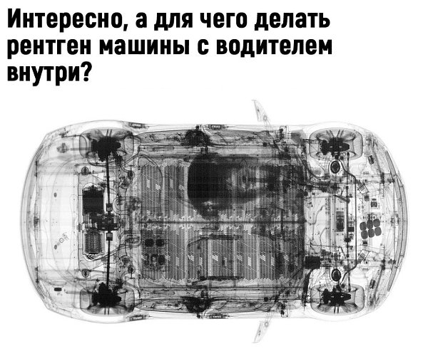 Художественные рентген-работы Ника Визи (8 фото) Xray art, X ray, Hidden art