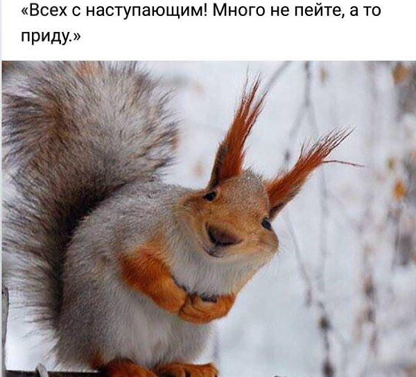 Fr@nchesk@ - 3  2021  10:59