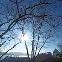  Nata, , 71  -  29  2020    