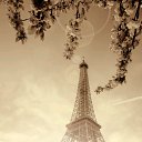 ���� �������, ����� - ��������� 21 �������� 2020 � ������ ���� ����������