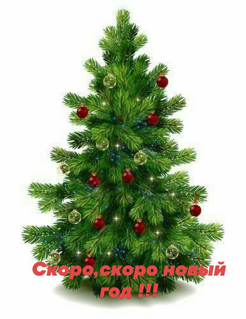   ,    . - 19  2020  00:24 - 9