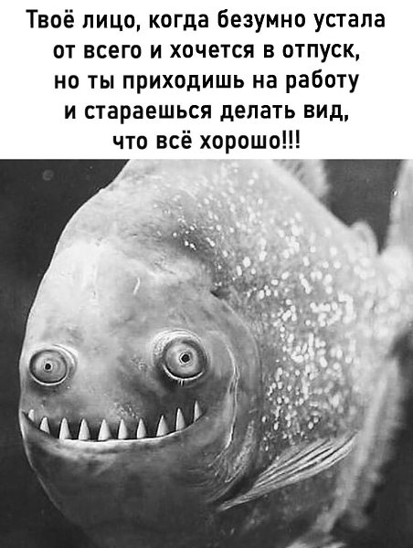 ����� ��� ���� � ������ ������!