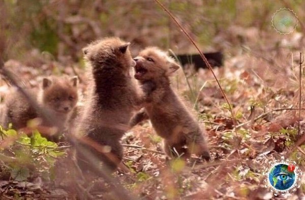  o   ca, ec p a a a op coo oa ooo a c? # - 5