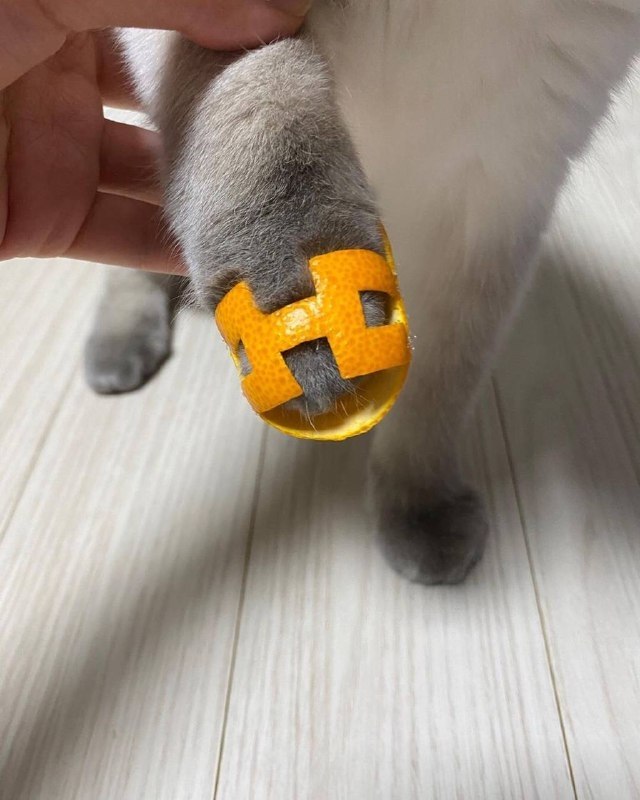  :  ,  ,  .  : - 2